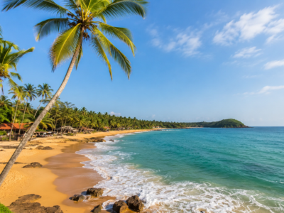 Tripistry North Goa Package