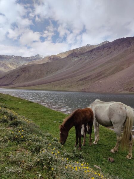 Spiti Circuit Road Trip Join Us