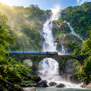 Dudhsagar Waterfall Adventure Trip